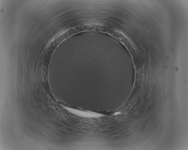 X0000085840919200703301641
