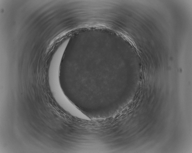 X0000085840920200703301641