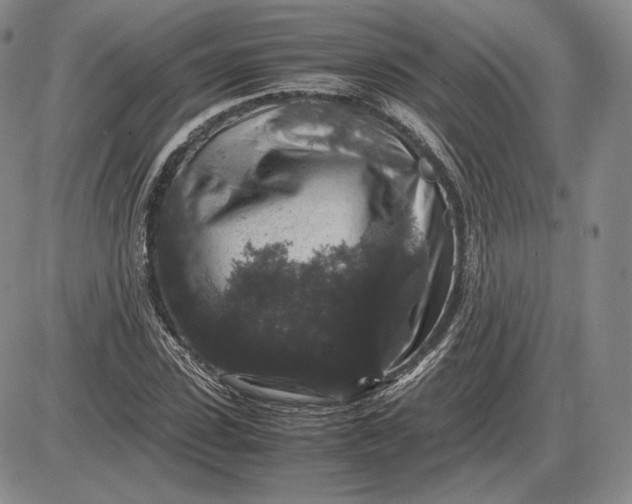 X0000085840923200703301641