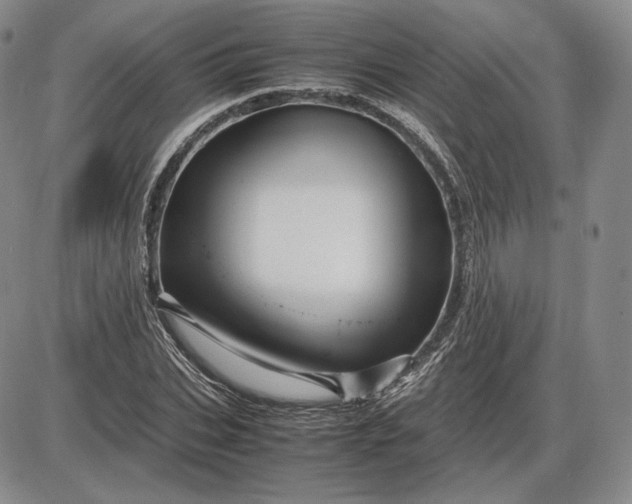 X0000085840927200703301641