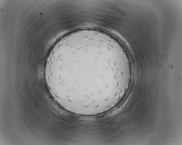 X0000085840929200703301641