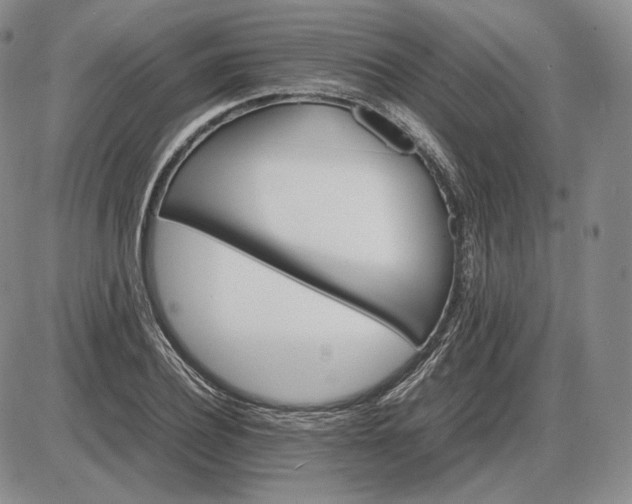 X0000085840932200703301641