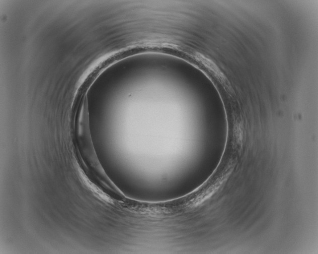 X0000085840934200703301641