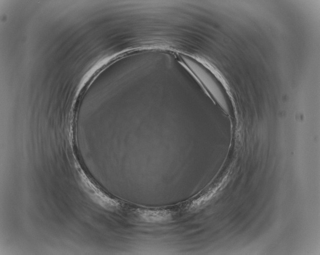 X0000085840941200703301641
