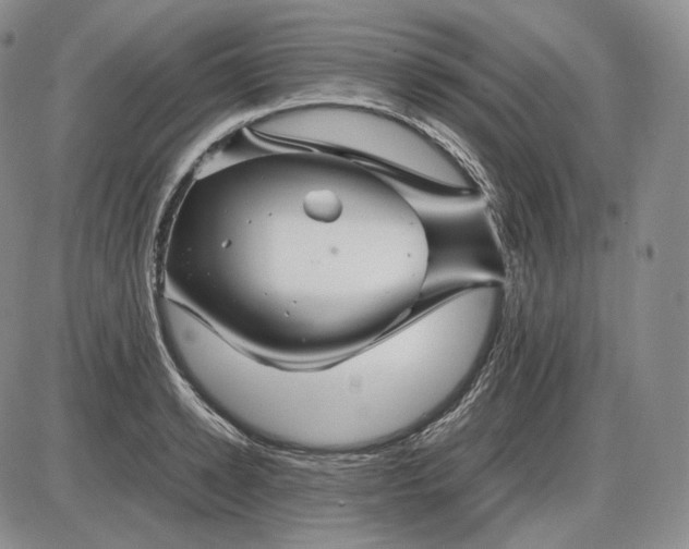 X0000085840942200703301641
