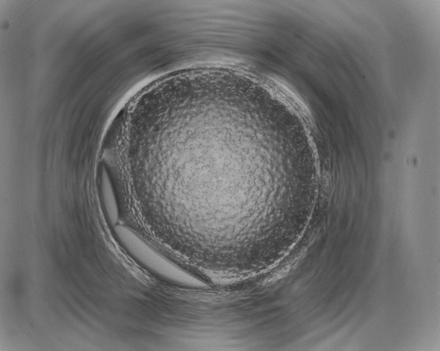X0000085840948200703301641