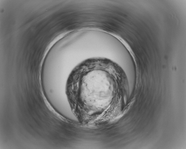 X0000085840957200703301641