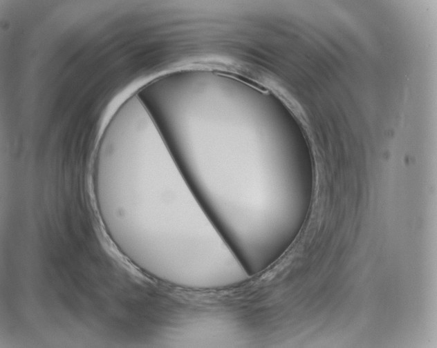 X0000085840960200703301641