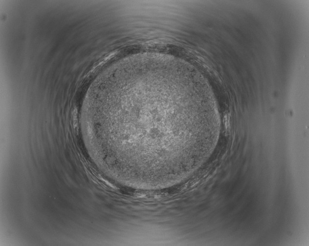 X0000085840963200703301641