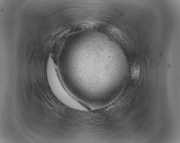 X0000085840964200703301641