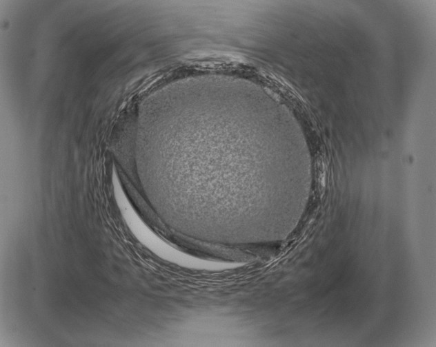 X0000085840965200703301641