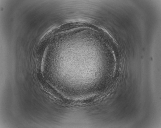 X0000085840967200703301641