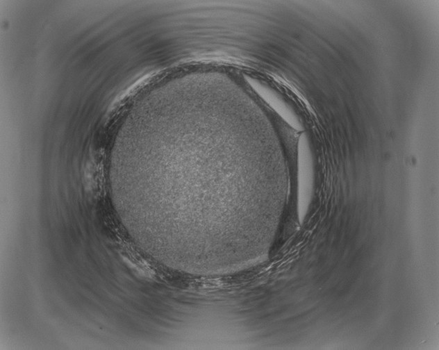 X0000085840968200703301641