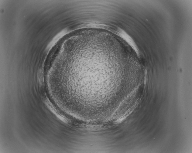 X0000085840972200703301640