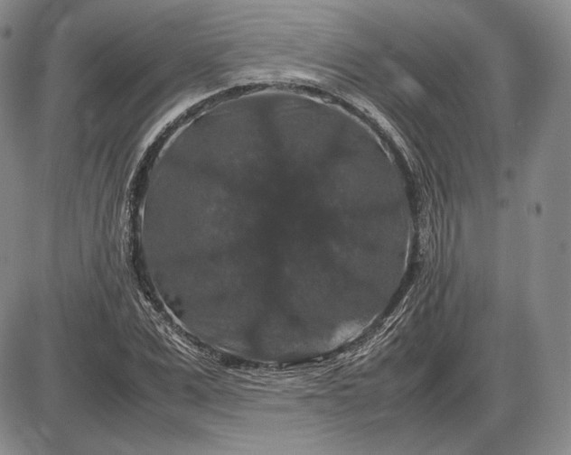 X0000085840975200703301640