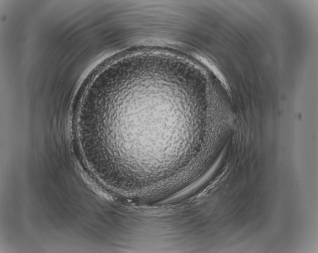 X0000085840976200703301640