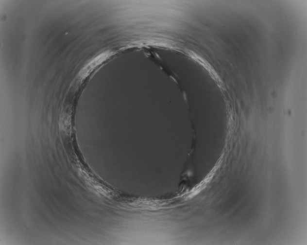 X0000085840977200703301640