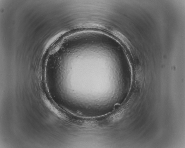 X0000085840979200703301640