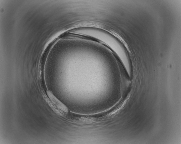 X0000085840981200703301640