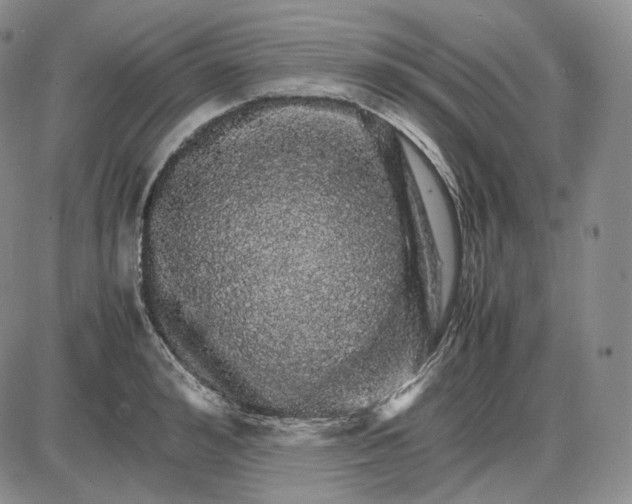 X0000085840992200703301640