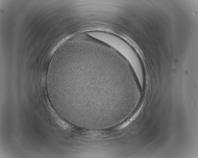 X0000085840993200703301640