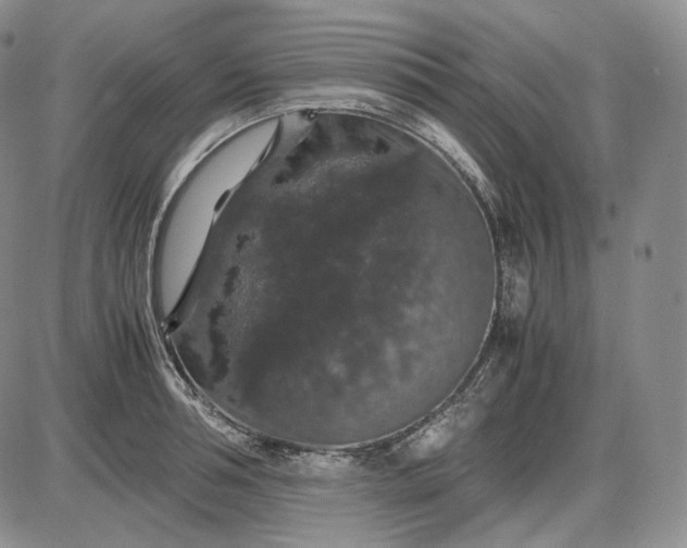 X0000085840994200703301640