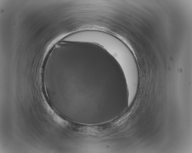 X0000085840995200703301640