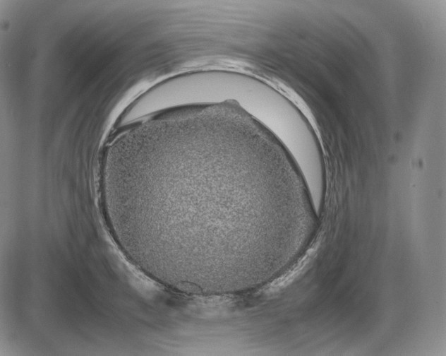 X0000085840997200703301640