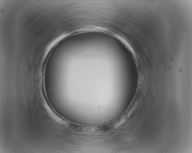 X0000085841003200703301640
