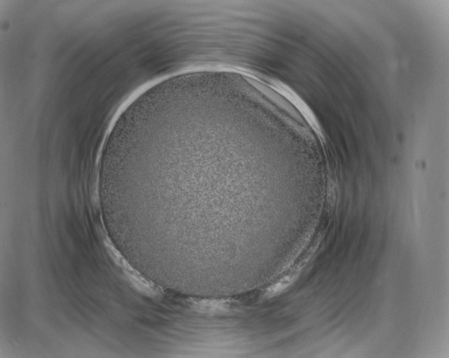 X0000085841004200703301640