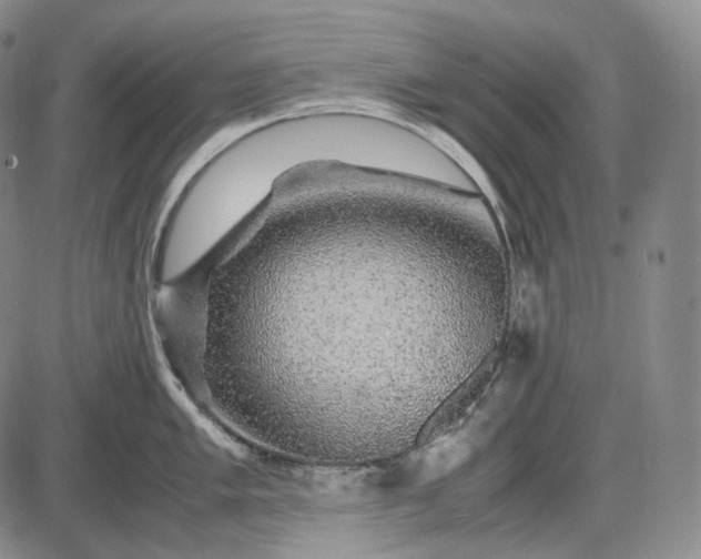 X0000085841005200703301640