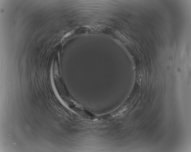 X0000085841010200703301639