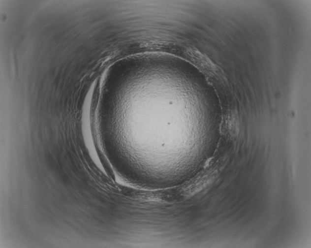 X0000085841012200703301639