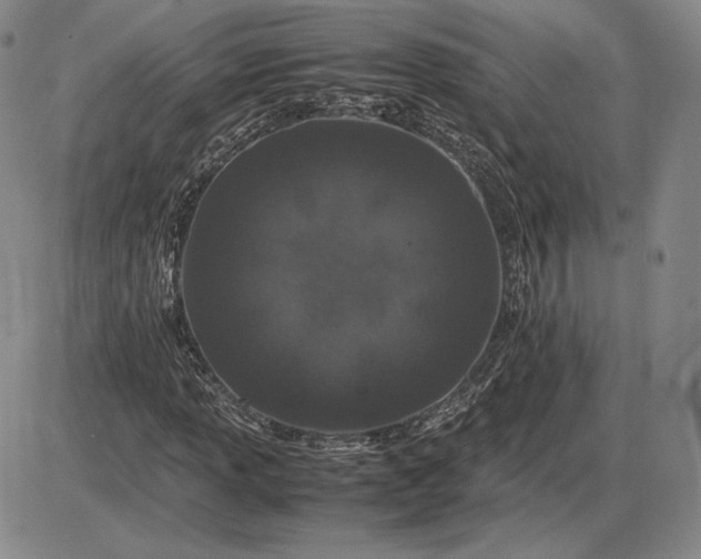 X0000085841013200703301639