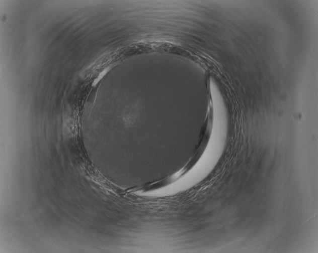 X0000085841014200703301639