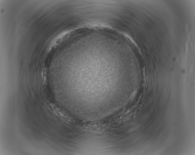 X0000085841016200703301639