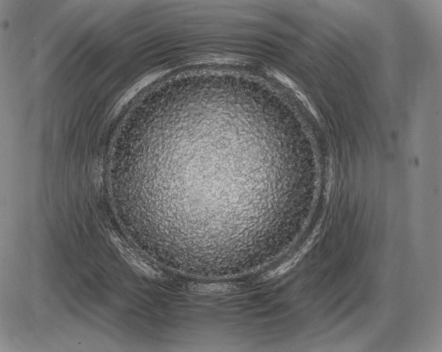 X0000085841017200703301639