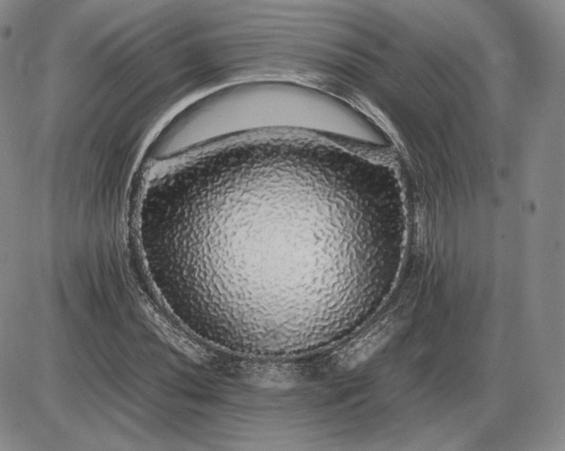 X0000085841020200703301639