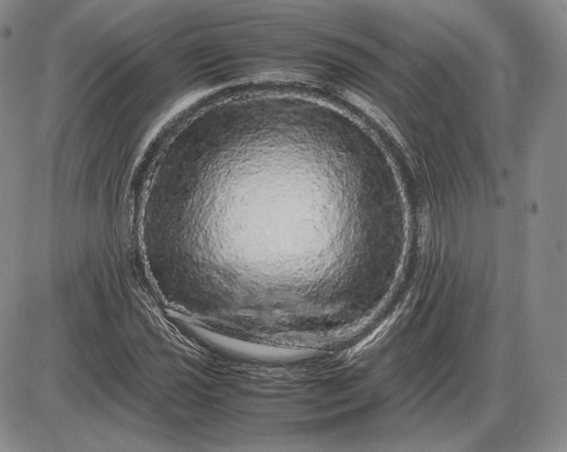 X0000085841021200703301639