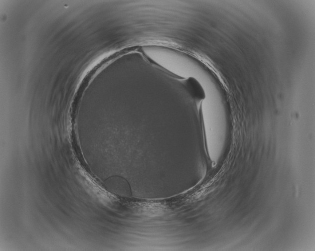 X0000085841024200703301639