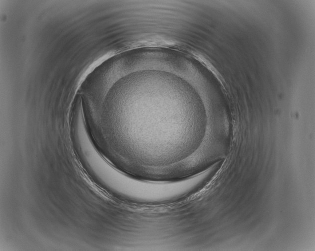 X0000085841026200703301639