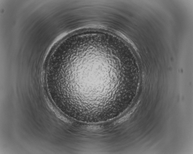 X0000085841029200703301639