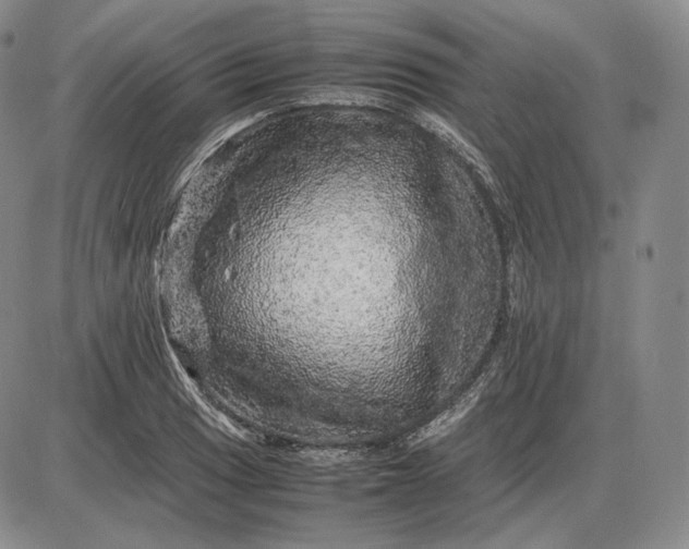 X0000085841033200703301639