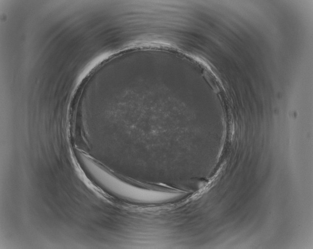 X0000085841038200703301640