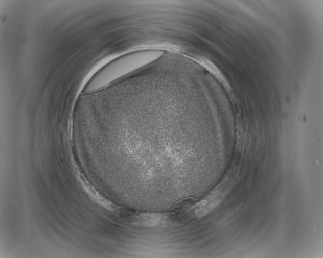 X0000085841044200703301640