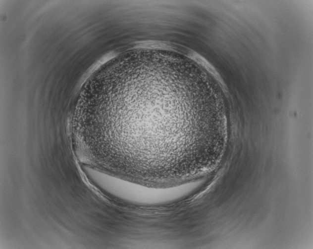 X0000085841049200703301640