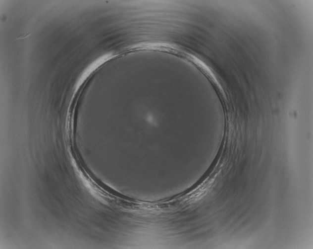 X0000085841050200703301640