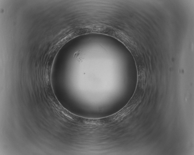 X0000085841058200703301639