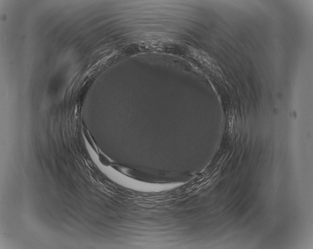 X0000085841060200703301639
