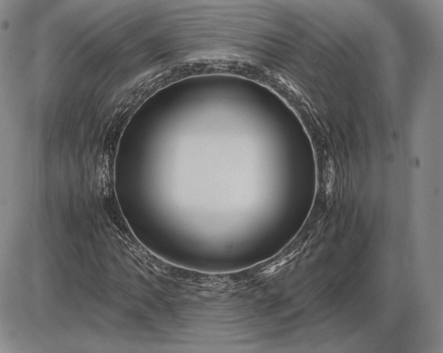 X0000085841062200703301639